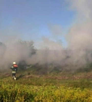Волинські рятувальники боролися з пожежею сухостою