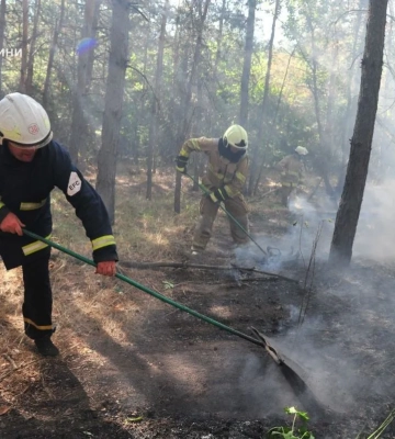 Гасять другу добу: на Харківщині вдалося локалізувати масштабну лісову пожежу