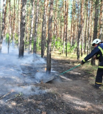На Харківщині вогнеборці другу добу гасять лісову пожежу у Балаклійському лісництві на площі 43 га
