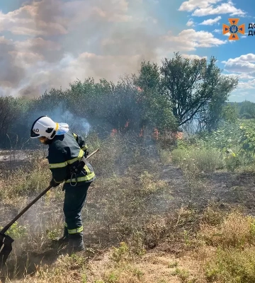 Ліс горів шість годин: на Дніпропетровщині виникла некерована пожежа