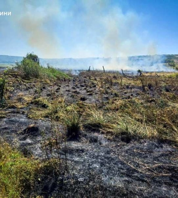 На Одещині жінка спричинила серйозну пожежу