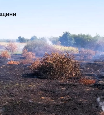 В одному з районів Івано-Франківщини ліквідовують пожежу торфу