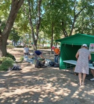 Вирви амброзію - отримай гроші: в перший день акції зібрали більше 18 тисяч кущів
