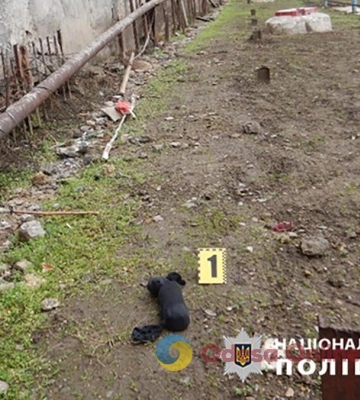 Ув’язнені налагодили наркобізнес в одеській виправній колонії і можуть отримати по 10 років