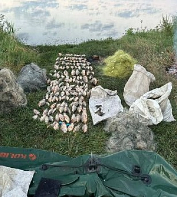 270 тисяч гривень збитків: рибпатруль на Дніпропетровщині викрив порушника