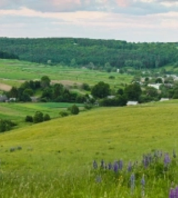 Відеопроєкт «Культурний шлях Via Regia» проводить зйомки в Дермансько-Острозькому нацпарку