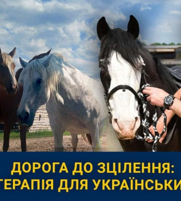 Як у Дніпрі кінний спорт допомагає пораненим воїнам