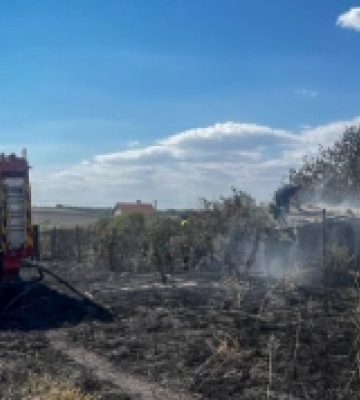В Одеському районі згоріло майже три гектари сухої трави: пошкоджені садові будинки