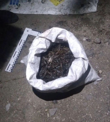 Наловили раків на понад 600 тисяч гривень: на Кіровоградщині спіймали браконьєрів