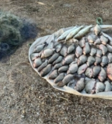 На озері Ялпуг виявили браконьєра