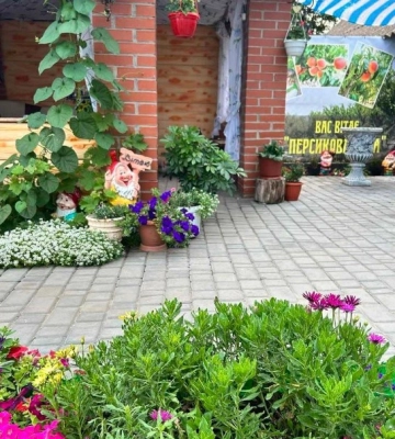 В селі Білгород-Дністровського району можна відвідати «Персикову хату»