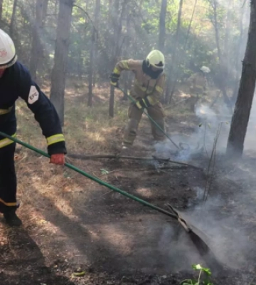 На Харківщині рятувальники за 4 доби ліквідували лісову пожежу площею 43 га