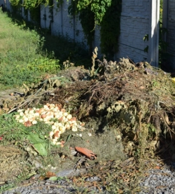 У Здолбунові викидають побутові відходи біля входу до кладовища
