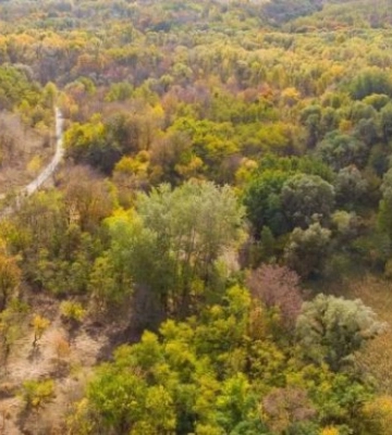 Чиновники на Київщині незаконно відвели 2 га ландшафтного парку вартістю 72 млн грн