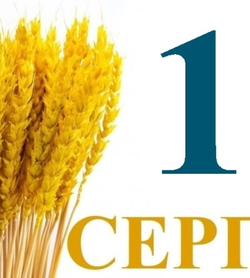 Сегодня 17 августа: какой праздник и день в истории