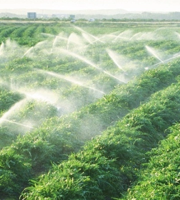 На Волині створено перші організації водокористувачів