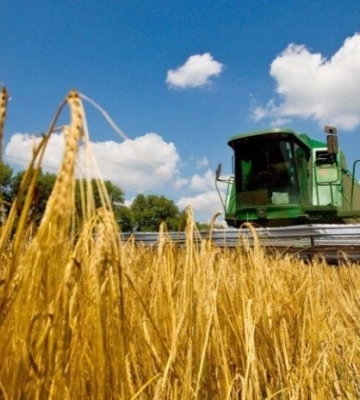 Аграрії Рівненщини отримали майже 800 млн грн кредитів
