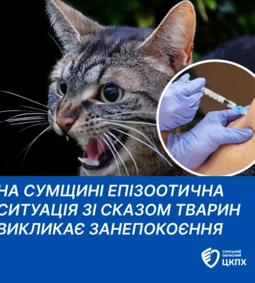 На Сумщині з початку року зафіксували вже 4 випадки сказу