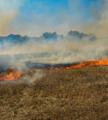 Рятувальники Львівщини вчора ліквідували 21 пожежу: половина із них – займання сухостою