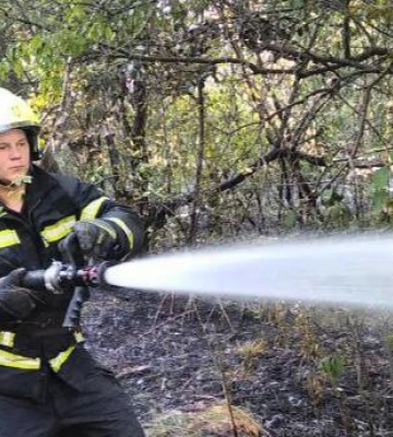 У Києві на Трухановому острові - пожежа, горять трава та дерева