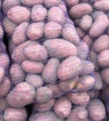 На Кореччині збирають продукти для бригади «ГАРТ» на Вовчанському напрямку