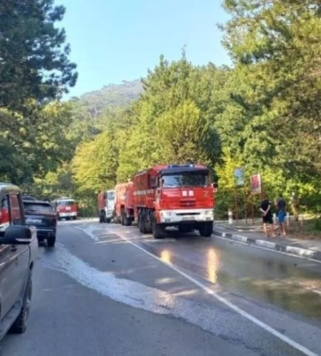 Під Ялтою сталася лісова пожежа на майже 3 гектари