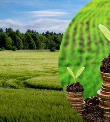 Як в Україні дізнатися суму податку на землю у 2024 році
