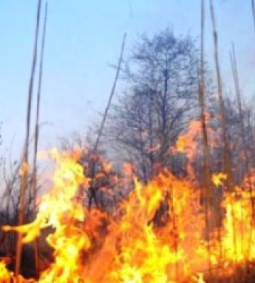 Мешканців Львівщини попереджають про надзвичано високу пожежну небезпеку в найближчі дні