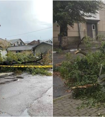 На Львівщині негода зупинила рух електрички, є травмовані