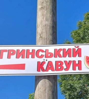 На Рівненщині кавуни можна придбати прямо з поля