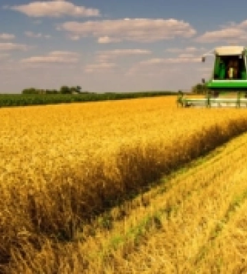 Громади Миколаївщини отримали 527,5 мільйонів гривень плати за землю