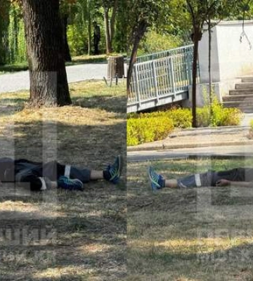 В Кривом Роге от укусов пчел умер мужчина: тело обнаружили в парке