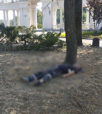 В Кривом Роге коммунальщик умер от укусов шершней