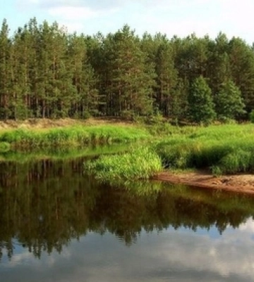 На Волині у власність держави повернули землі вартістю 330 мільйонів