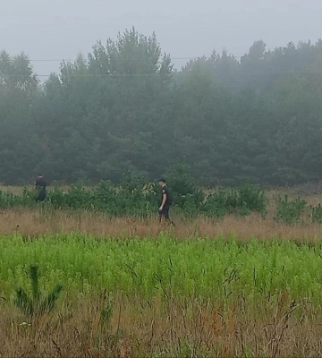 На Волині продовжують шукати 88-річного пенсіонера, який пішов у ліс і не повернувся