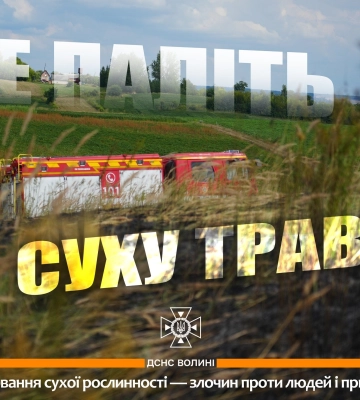 На Волині вигоріло майже пів гектара сухої трави