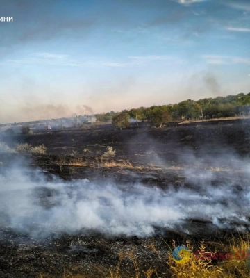 На Одещині пожежа на відкритій місцевості підпалила дачу та п’ять будівель