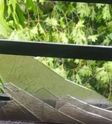 Внаслідок буревію дерево впало на вагон поїзда: є травмовані