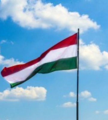 Під удар потрапили закарпатські роми: Угорщина зупинила підтримку частини біженців з України