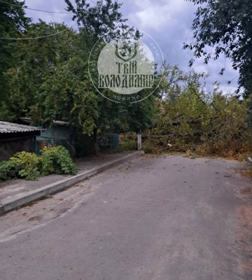 Повалене дерево і затоплені вулиці: наслідки негоди на Волині. Фото, відео