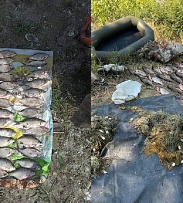 На Дніпропетровщині порушники незаконно виловили 203 кілограми товстолоба
