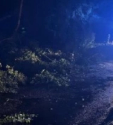 На Рівненщині буревій повалив на дорогу 18 дерев