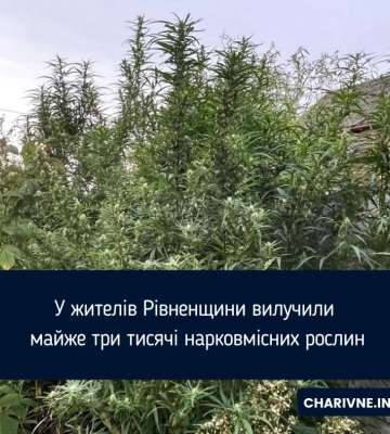 Тисячі нарковмісних рослин вилучили правоохоронці на Рівненщині