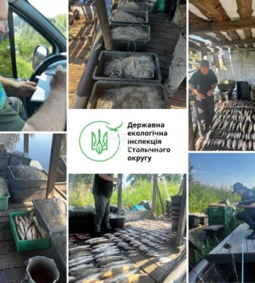 Нанесено збитків на суму 675 852 грн: на Київському водосховищі Держекоінспекція вилучила десятки кілограм риби