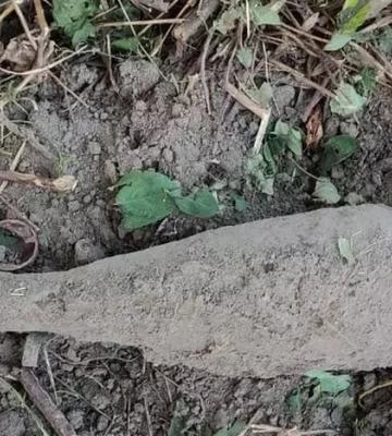 На Львівщині поблизу церкви знайшли застарілий боєприпас