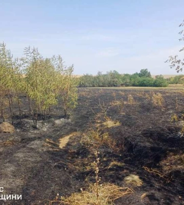 У Лиманці внаслідок пожежі постраждав чоловік
