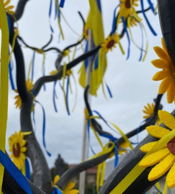 Надвірна до дня Державного Прапора та Незалежності України: фоторепортаж