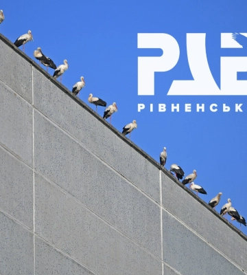 Лелеки «облюбували» Рівненську АЕС