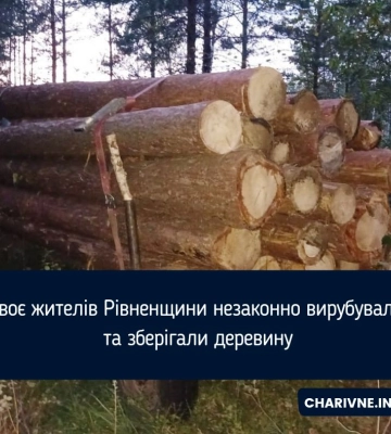 Двоє жителів Рівненщини незаконно вирубували та зберігали деревину