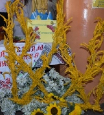 На Кіровоградщині проходить виставка дідухів і короваїв(ФОТО)